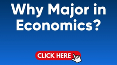 Why Economics